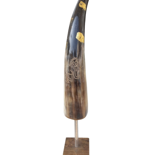 Natural Buffalo Horn Handcrafted for Home decoe-, showpiece for Living Room,Drawing Room,Home Decoration (White)