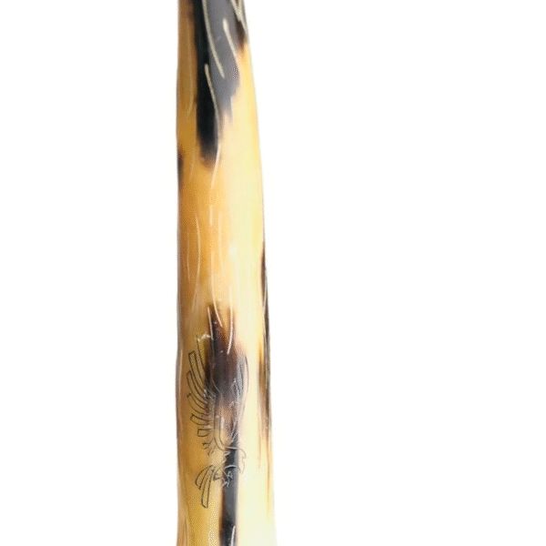 Natural Buffalo Horn Handcrafted for Home decoe-, showpiece for Living Room,Drawing Room,Home Decoration(Black Brown)