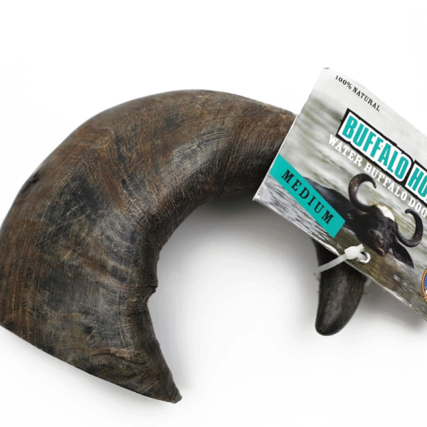 QT Dog Water Buffalo Hornz Treat (1 Each), Medium