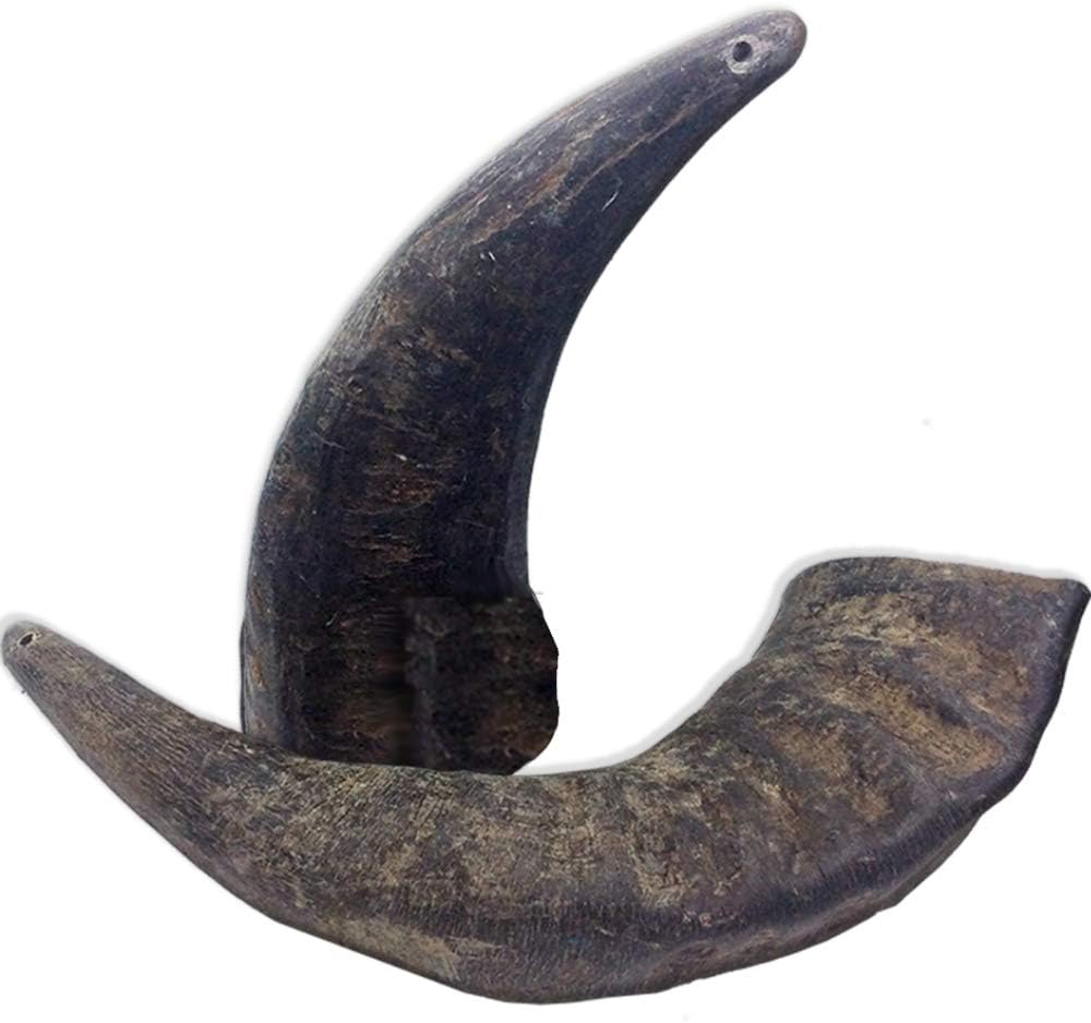 image - 2025-11-01T001135.413