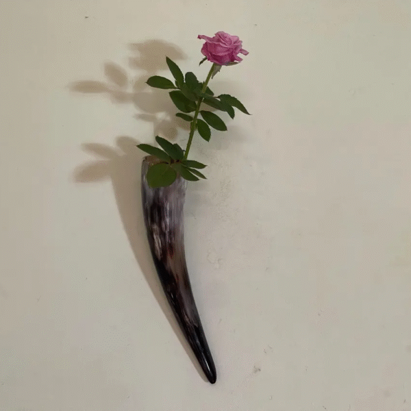 Buffalo horn flower vase, wall mounted vase, Home decor, Horn vase , Horn Vase, Horn house decor, Wall Decoration, Horn House Decor