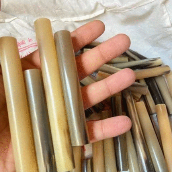 Real buffalo horn roll ,