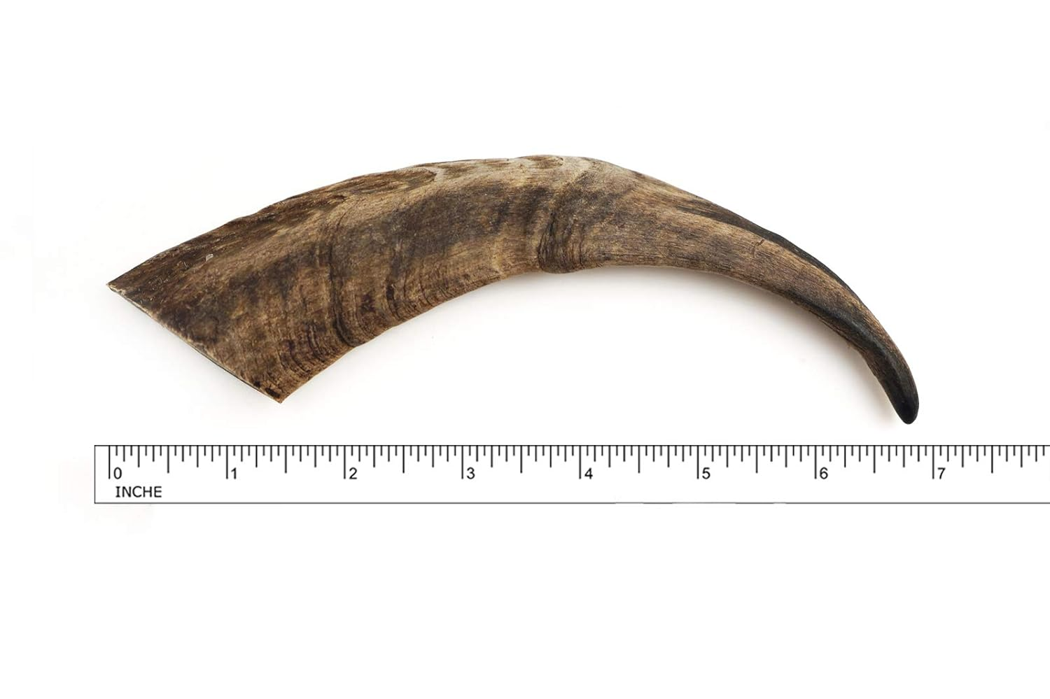 image - 2025-11-01T031446.546