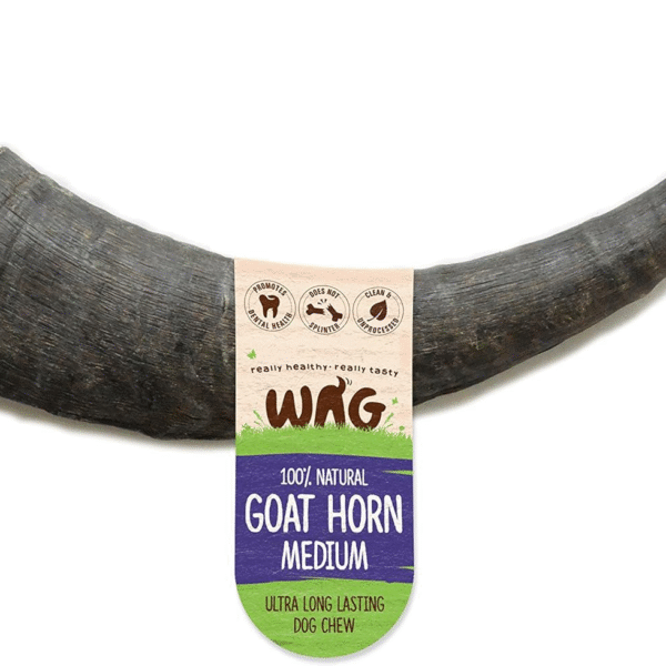 Medium Goat Horn 1 Pack, Natural Australian Made Long Lasting Dog Treat Chew, Breeds